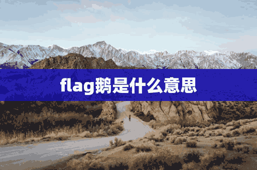 flag鹅是什么意思(鹅是什么意思饭圈)